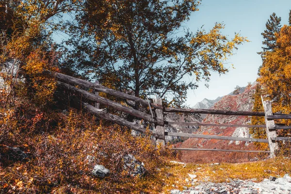 Осіння гірська сцена з живоплотом — стокове фото