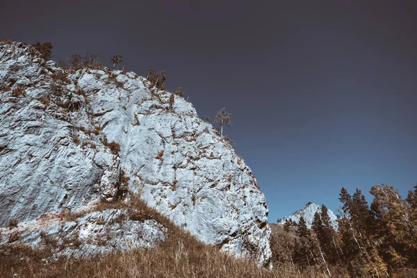 Falaise rocheuse dans les montagnes de l'Altaï — Photo