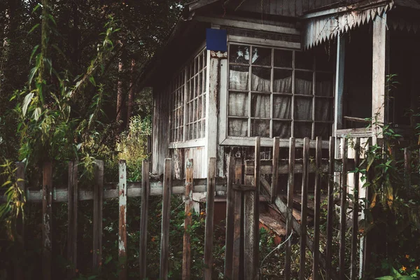 Esrarengiz Eski Bir Ahşap Köşesi Veranda Otlar Çalılarla Kaplanmış Içinde — Stok fotoğraf