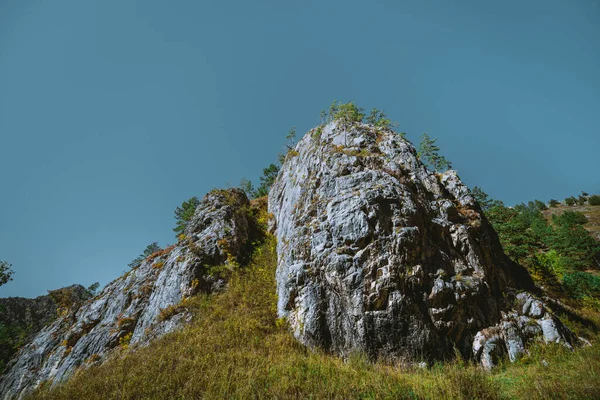 Яскравий Гірський Пейзаж Кінця Літа Скелею Центрі Заросли Соснами Ялинами — стокове фото