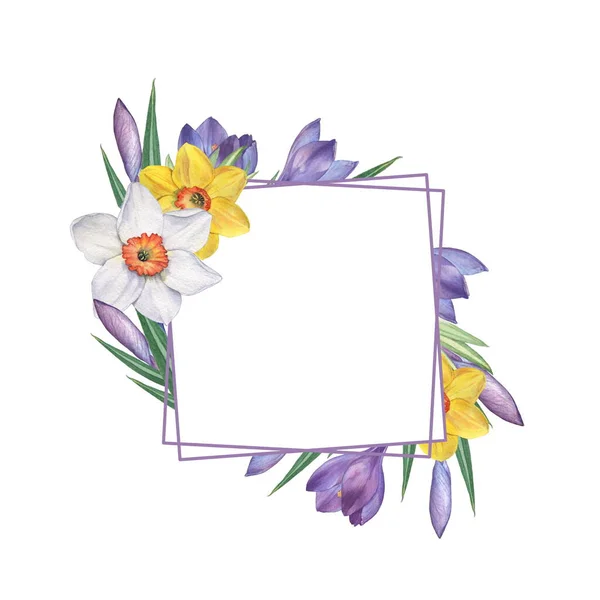 Crocus and narcissus 3. Watercolor Floral frame. Watercolor illustration. Hand-drawing. Isolated on white — Φωτογραφία Αρχείου