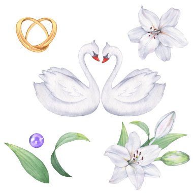 Wedding set of watercolor elements for creating postcards, invitations, posters and business cards. Hand drawing. Isolated on white