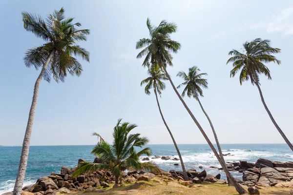 Paisagem com praia tropical — Fotografia de Stock