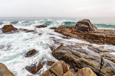 tropikal plaj manzara