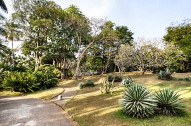 güzel tropikal peyzaj