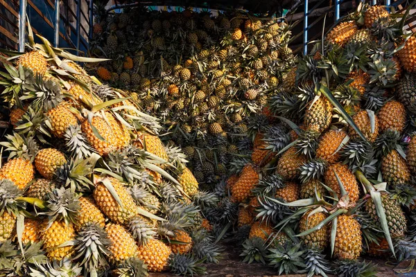 Pile d'ananas dans le camion — Photo