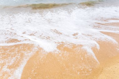 tropikal plaj manzara