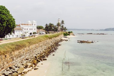 tropikal plaj manzara