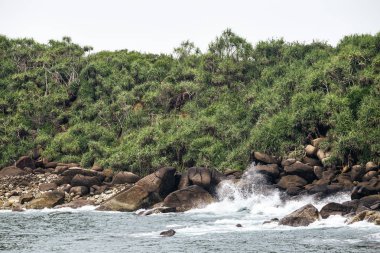 tropikal plaj manzara