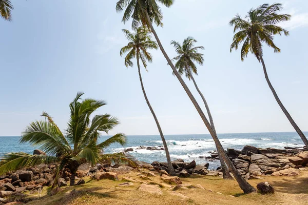 Paisagem com praia tropical — Fotografia de Stock