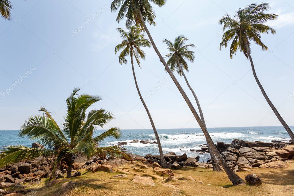 landscape with tropical beach