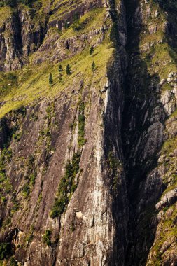sri Lanka dağ manzarası.