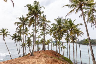 tropikal plaj manzara