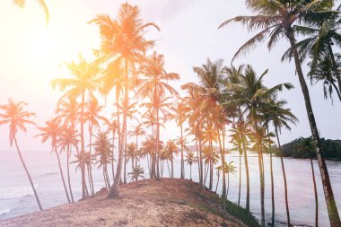landscape with tropical beach clipart