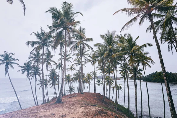 Paesaggio con spiaggia tropicale — Foto Stock
