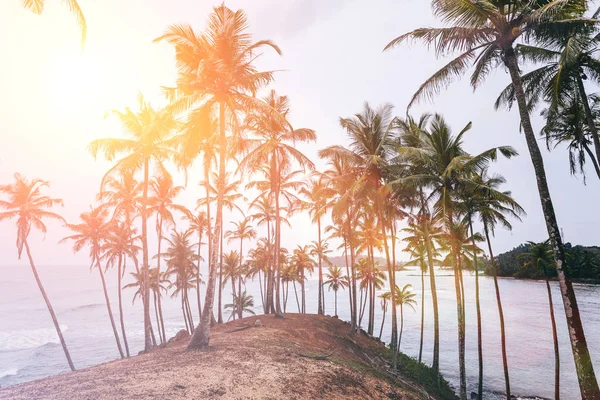 Paisaje con playa tropical —  Fotos de Stock