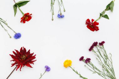 düz lay ile renkli çiçekler