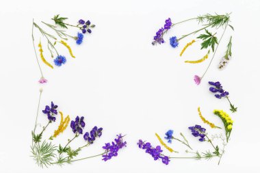 düz lay ile renkli çiçekler