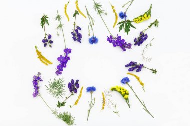 düz lay ile renkli çiçekler