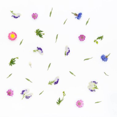 Beyaz arkaplanda çiçekler