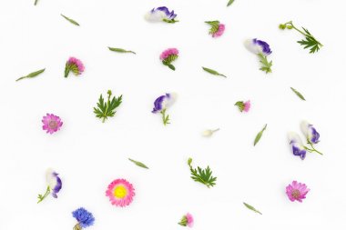 Beyaz arkaplanda çiçekler