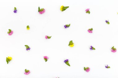 Beyaz arkaplanda çiçekler