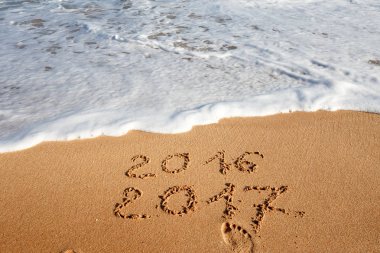 Sahil kumu 2017 yazı