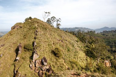 sri Lanka dağ manzarası.