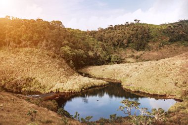 güzel tropikal peyzaj