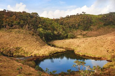 güzel tropikal peyzaj