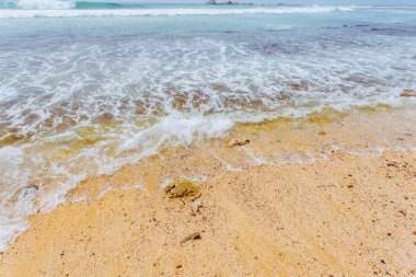 Güzel tropikal plaj.