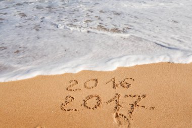 Sahil kumu 2017 yazı