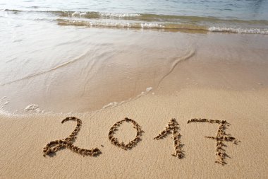 Sahil kumu 2017 yazı