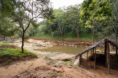 Sigiriya kale manzara
