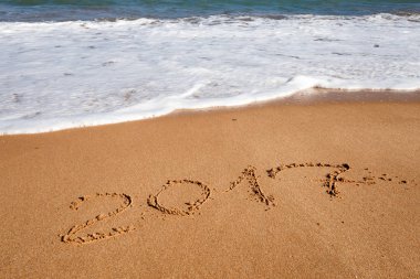 Sahil kumu 2017 yazı