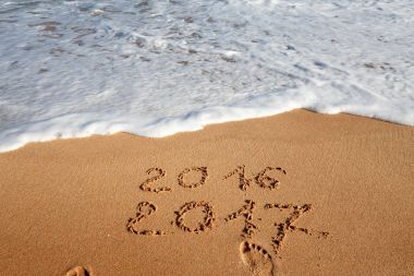 Sahil kumu 2017 yazı