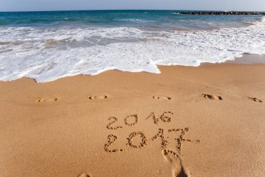 Sahil kumu 2017 yazı