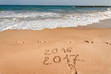 Sahil kumu 2017 yazı