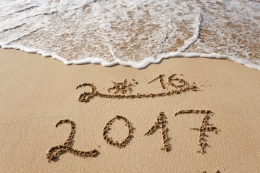 Sahil kumu 2017 yazı