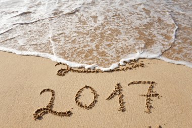 Sahil kumu 2017 yazı