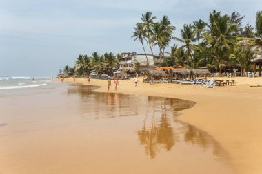 tropikal plaj manzara