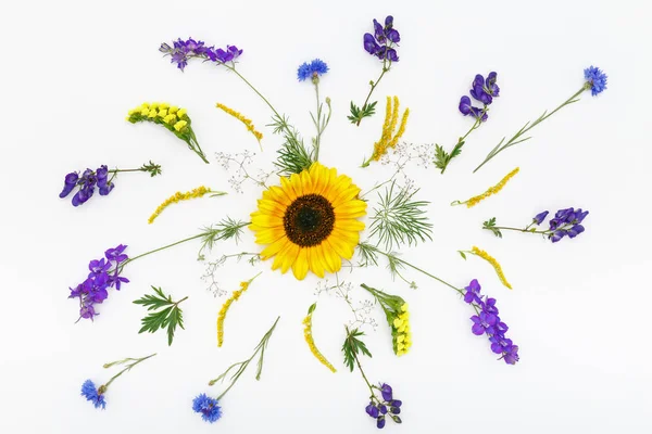 Beyaz arkaplanda çiçekler