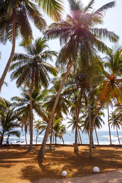 Paisagem com praia tropical — Fotografia de Stock