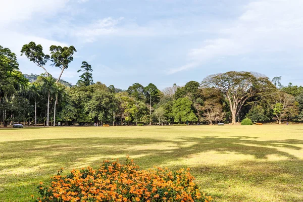 Güzel Peradeniya doğada