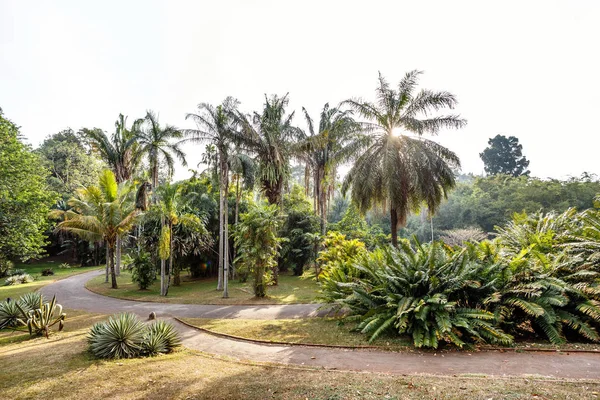 Belle nature à Peradeniya — Photo