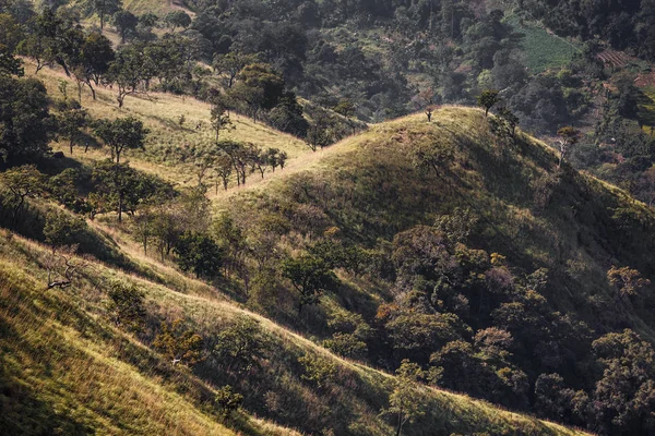 sri Lanka dağ manzarası.