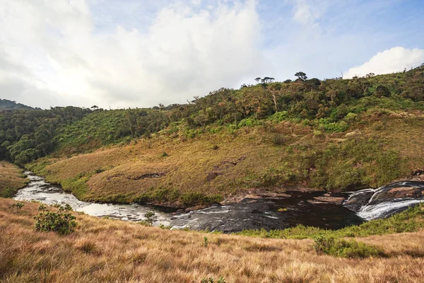 güzel tropikal peyzaj