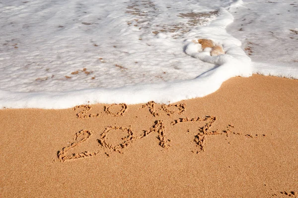 Sahil kumu 2017 yazı