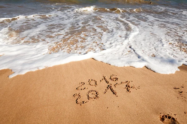 Sahil kumu 2017 yazı