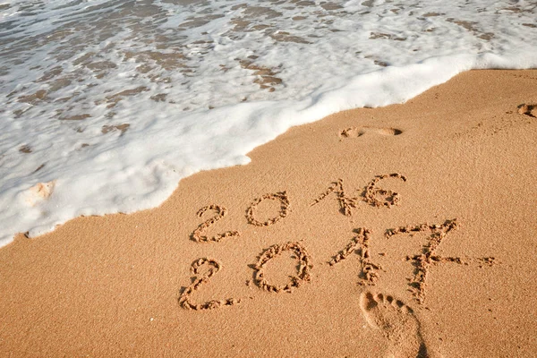 Sahil kumu 2017 yazı